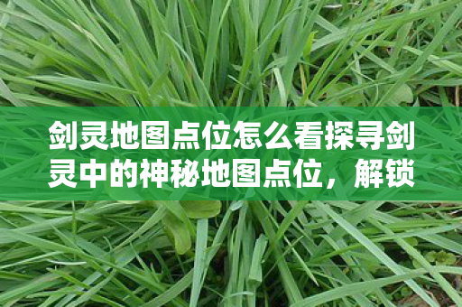 剑灵地图点位怎么看探寻剑灵中的神秘地图点位图片