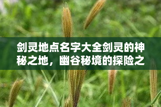 剑灵地点名字大全剑灵的神秘之地图片