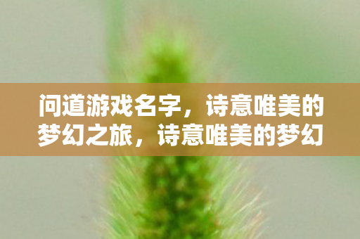 诗意唯美的梦幻之旅图片