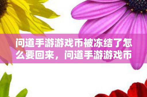问道手游游戏币被冻结了怎么要回来图片