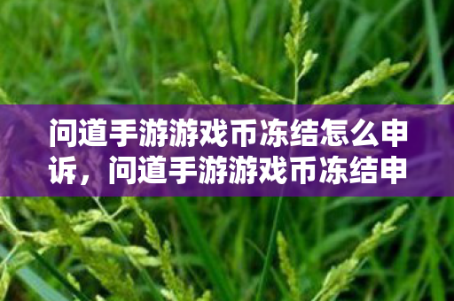 问道手游游戏币冻结怎么申诉图片