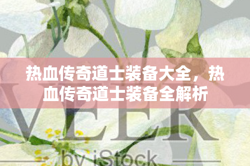热血传奇道士装备全解析图片