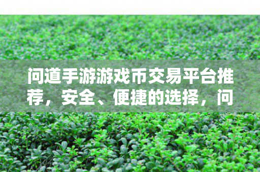 问道手游游戏币交易平台推荐图片