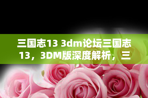 三国志13 3dm论坛三国志13，3DM版深度解析，三国志13 3DM版深度解析，策略与历史的碰撞