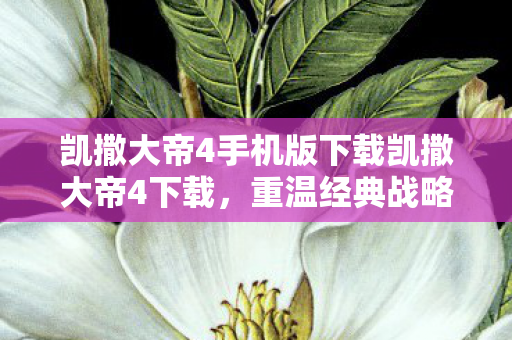 凯撒大帝4手机版下载凯撒大帝4下载,重温经典战略游戏的魅力,凯撒大帝4手机版下载,重温经典战略游戏魅力 凯撒大帝4手机版下载凯撒大帝4下载,重温经典战略游戏的魅力,凯撒大帝4手机版下载,重温经典战略游戏魅力