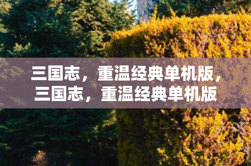 三国志,重温经典单机版,三国志,重温经典单机版 三国志,重温经典单机版,三国志,重温经典单机版
