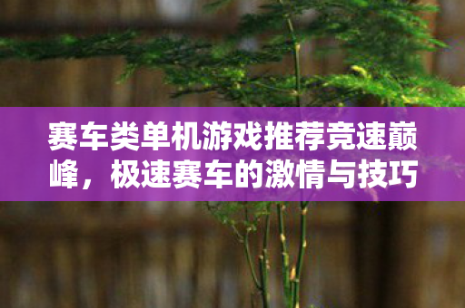 赛车类单机游戏推荐竞速巅峰，极速赛车的激情与技巧，竞速巅峰，体验极速赛车的激情与技巧