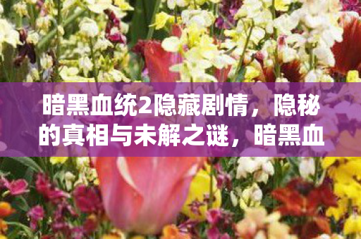 暗黑血统2隐藏剧情，隐秘的真相与未解之谜，暗黑血统2隐藏剧情，隐秘真相与未解之谜揭秘