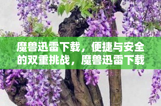 魔兽迅雷下载，便捷与安全的双重挑战，魔兽迅雷下载，便捷与安全的双重挑战