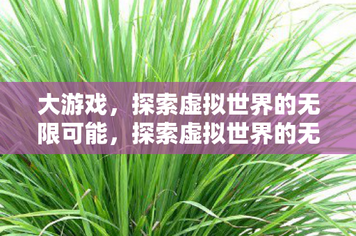 大游戏，探索虚拟世界的无限可能，探索虚拟世界的无限可能，大游戏的魅力