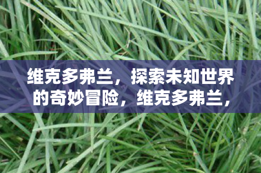 维克多弗兰，探索未知世界的奇妙冒险，维克多弗兰，探索未知世界的奇妙冒险之旅