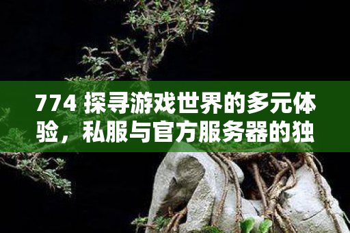 774 探寻游戏世界的多元体验，私服与官方服务器的独特魅力，私服与官方服务器，游戏世界的多元体验
