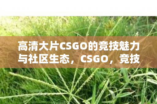 高清大片CSGO的竞技魅力与社区生态,CSGO,竞技魅力与社区生态的完美结合 高清大片CSGO的竞技魅力与社区生态,CSGO,竞技魅力与社区生态的完美结合