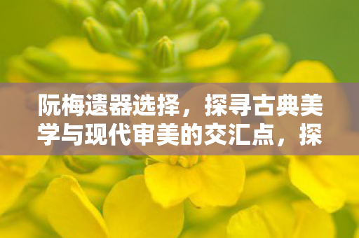 阮梅遗器选择，探寻古典美学与现代审美的交汇点，探寻古典美学与现代审美的交汇点，阮梅遗器选择