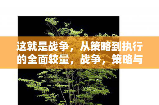 这就是战争，从策略到执行的全面较量，战争，策略与执行的全面较量