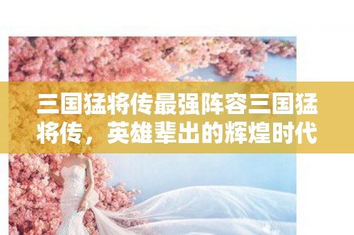 三国猛将传最强阵容三国猛将传，英雄辈出的辉煌时代，三国猛将传，英雄辈出的辉煌时代