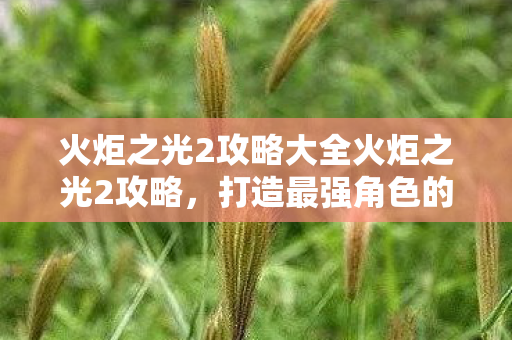 火炬之光2攻略大全火炬之光2攻略，打造最强角色的全面指南，打造最强角色，火炬之光2全面攻略
