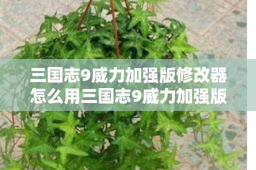 三国志9威力加强版修改器怎么用三国志9威力加强版修改器图片