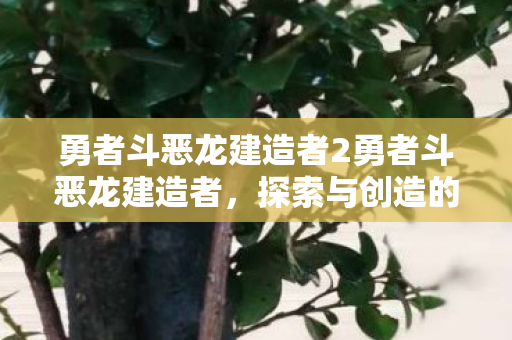 勇者斗恶龙建造者2勇者斗恶龙建造者，探索与创造的奇幻之旅，勇者斗恶龙建造者2，探索与创造的奇幻之旅