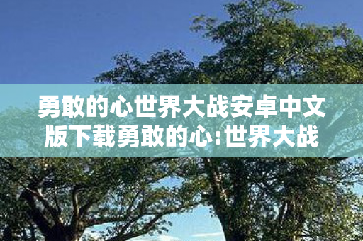 勇敢的心世界大战安卓中文版下载勇敢的心图片
