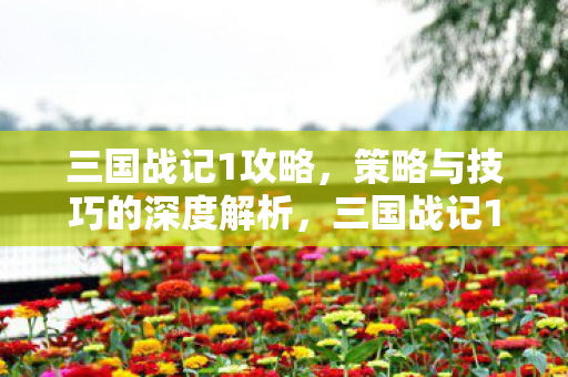 三国战记1攻略,策略与技巧的深度解析,三国战记1攻略,策略与技巧的深度解析 三国战记1攻略,策略与技巧的深度解析,三国战记1攻略,策略与技巧的深度解析