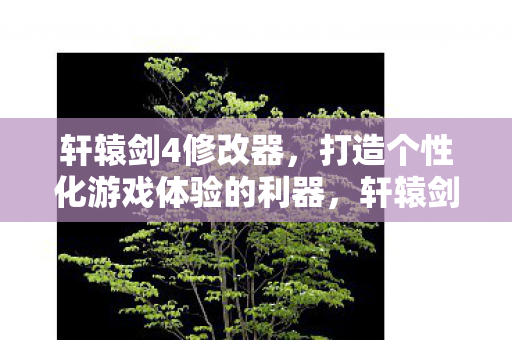 轩辕剑4修改器，打造个性化游戏体验的利器，轩辕剑4修改器，打造个性化游戏体验的必备工具