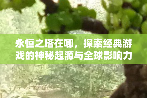 永恒之塔在哪,探索经典游戏的神秘起源与全球影响力,探索经典游戏永恒之塔的神秘起源与全球影响力 永恒之塔在哪,探索经典游戏的神秘起源与全球影响力,探索经典游戏永恒之塔的神秘起源与全球影响力