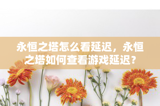 永恒之塔如何查看游戏延迟图片