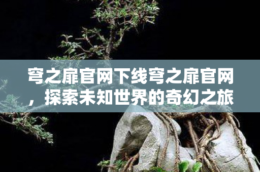 穹之扉官网下线穹之扉官网，探索未知世界的奇幻之旅，穹之扉官网下线，探索未知世界的奇幻之旅