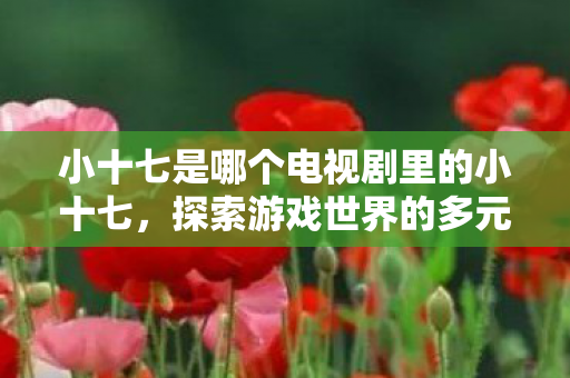 小十七是哪个电视剧里的小十七,探索游戏世界的多元体验,小十七,探索游戏世界的多元体验 小十七是哪个电视剧里的小十七,探索游戏世界的多元体验,小十七,探索游戏世界的多元体验