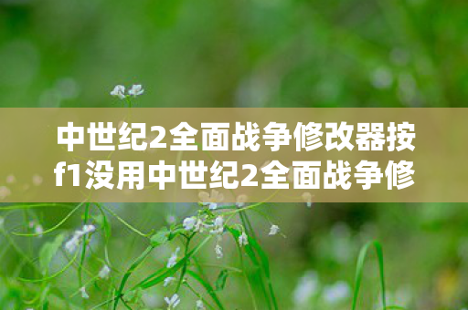 中世纪2全面战争修改器按f1没用中世纪2全面战争修改器，打造个性化游戏体验的利器，中世纪2全面战争修改器，打造个性化游戏体验的利器