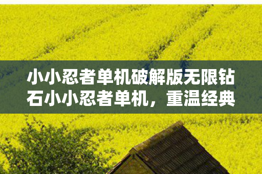 小小忍者单机破解版无限钻石小小忍者单机,重温经典,尽享单机乐趣,重温经典,小小忍者单机破解版无限钻石 小小忍者单机破解版无限钻石小小忍者单机,重温经典,尽享单机乐趣,重温经典,小小忍者单机破解版无限钻石