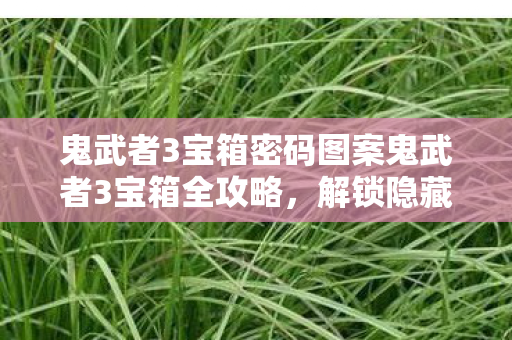 鬼武者3宝箱密码图案鬼武者3宝箱全攻略，解锁隐藏宝藏的秘诀，鬼武者3隐藏宝箱全攻略，解锁宝藏的秘诀