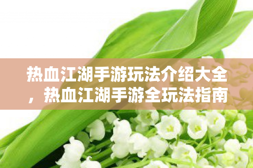 热血江湖手游玩法介绍大全图片
