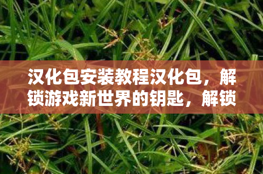 汉化包安装教程汉化包,解锁游戏新世界的钥匙,解锁游戏新世界,汉化包安装教程 汉化包安装教程汉化包,解锁游戏新世界的钥匙,解锁游戏新世界,汉化包安装教程