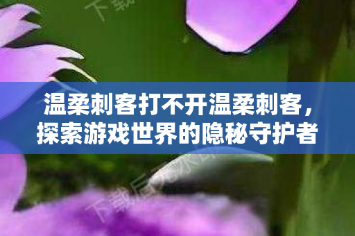 温柔刺客打不开温柔刺客,探索游戏世界的隐秘守护者,温柔刺客,探索游戏世界的隐秘守护者 温柔刺客打不开温柔刺客,探索游戏世界的隐秘守护者,温柔刺客,探索游戏世界的隐秘守护者