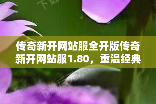 传奇新开网站服全开版传奇新开网站服1图片