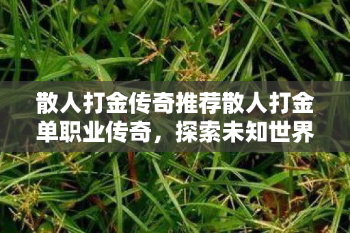 散人打金传奇推荐散人打金单职业传奇，探索未知世界的无尽宝藏，单职业传奇，散人打金，探索无尽宝藏的冒险之旅