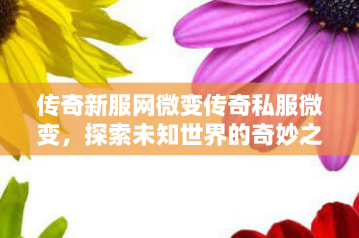 传奇新服网微变传奇私服微变,探索未知世界的奇妙之旅,探索微变传奇私服新服,开启未知世界的奇妙冒险之旅 传奇新服网微变传奇私服微变,探索未知世界的奇妙之旅,探索微变传奇私服新服,开启未知世界的奇妙冒险之旅