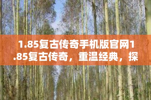 1.85复古传奇手机版官网1.85复古传奇,重温经典,探索传奇世界的无限可能,85复古传奇手机版官网,重温经典,探索传奇世界的无限可能 1.85复古传奇手机版官网1.85复古传奇,重温经典,探索传奇世界的无限可能,85复古传奇手机版官网,重温经典,探索传奇世界的无限可能