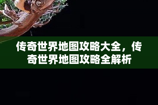 传奇世界地图攻略全解析图片