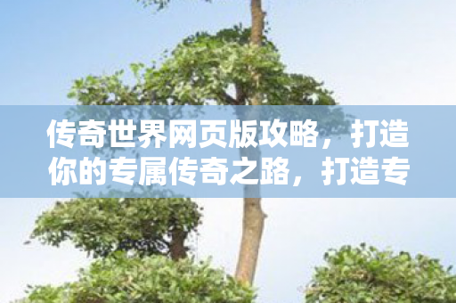 打造你的专属传奇之路图片