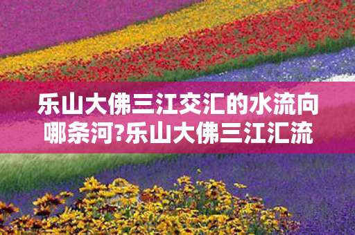 乐山大佛三江交汇的水流向哪条河?乐山大佛三江汇流处水位极低，自然奇观与保护挑战，乐山大佛三江汇流处水位低 面临保护挑战