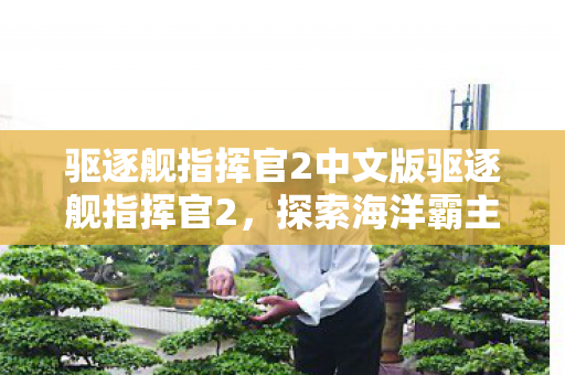 驱逐舰指挥官2中文版驱逐舰指挥官2，探索海洋霸主的战术与战略，驱逐舰指挥官2中文版，探索海洋霸主的战术与战略