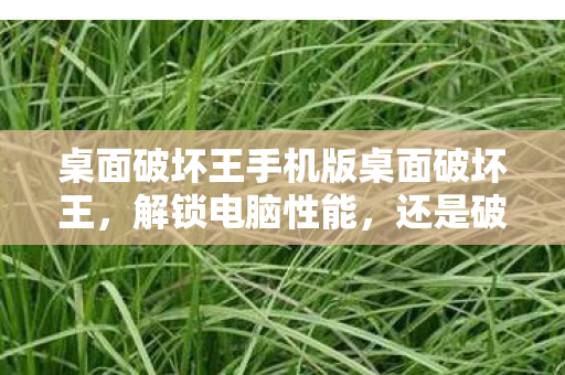 桌面破坏王手机版桌面破坏王，解锁电脑性能，还是破坏数据？桌面破坏王，解锁电脑性能还是破坏数据？