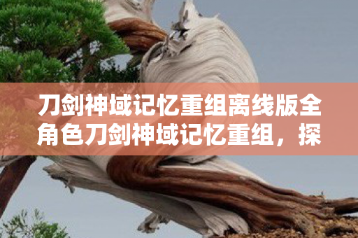 刀剑神域记忆重组离线版全角色刀剑神域记忆重组，探索虚拟世界的无限可能，刀剑神域记忆重组离线版，探索虚拟世界的无限可能