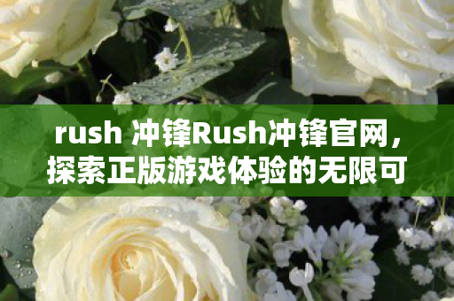 rush 冲锋Rush冲锋官网，探索正版游戏体验的无限可能，探索无限可能，Rush冲锋官网，正版游戏体验等你来挑战