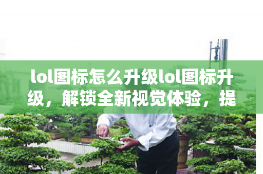 lol图标怎么升级lol图标升级，解锁全新视觉体验，提升游戏竞技感，解锁全新视觉体验，提升游戏竞技感，LOL图标升级全攻略