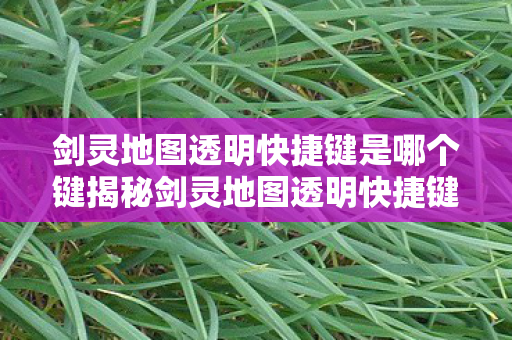 剑灵地图透明快捷键是哪个键揭秘剑灵地图透明快捷键，轻松掌握，畅游虚拟世界，揭秘，掌握剑灵地图透明快捷键，畅游虚拟世界