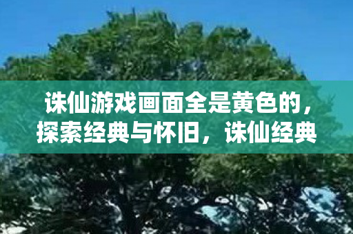 诛仙游戏画面全是黄色的图片